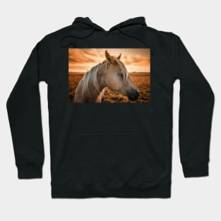 Horse Profile at Sunset Hoodie